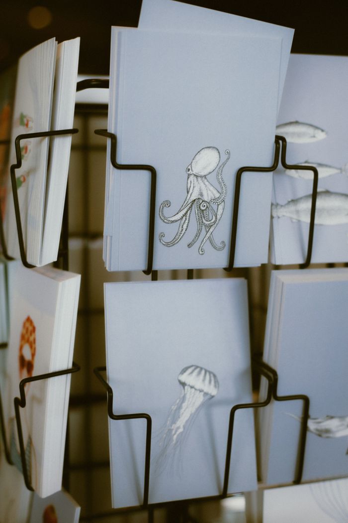 Close-up of ocean-themed greeting cards with octopus and jellyfish designs in a display rack.