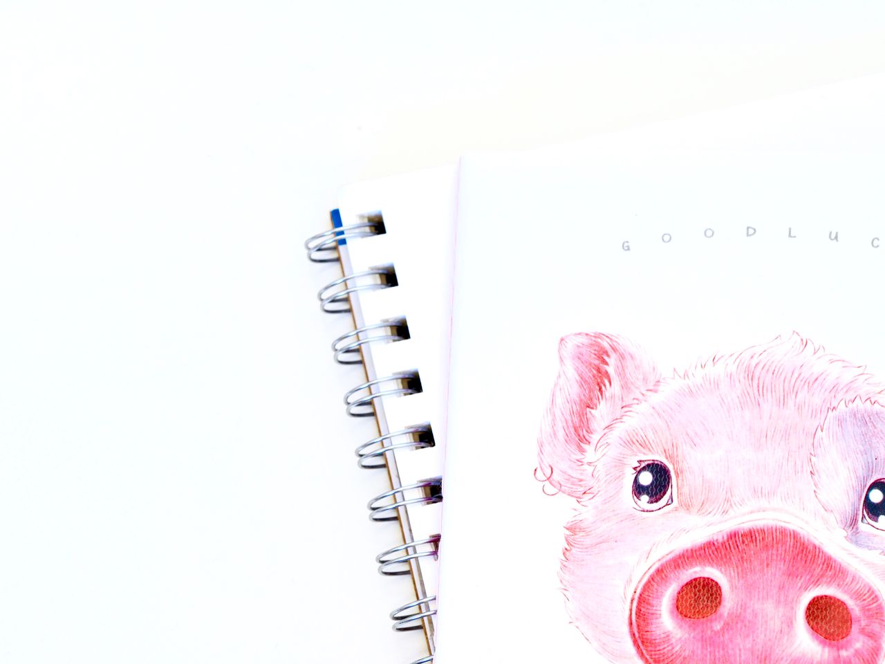 Close-up of a notebook featuring a cute pink pig illustration with a white background.